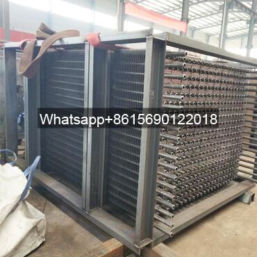 Coal-fired Biomass Boiler Economizer