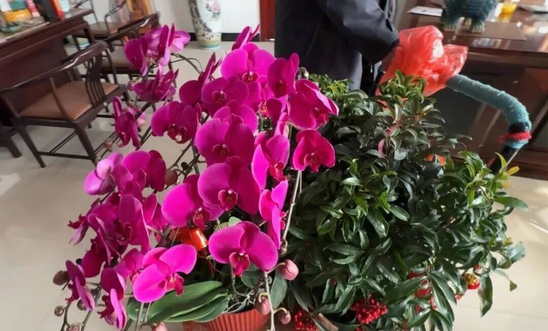 The Datang Finned Tube team is as lush and vibrant as a flower.